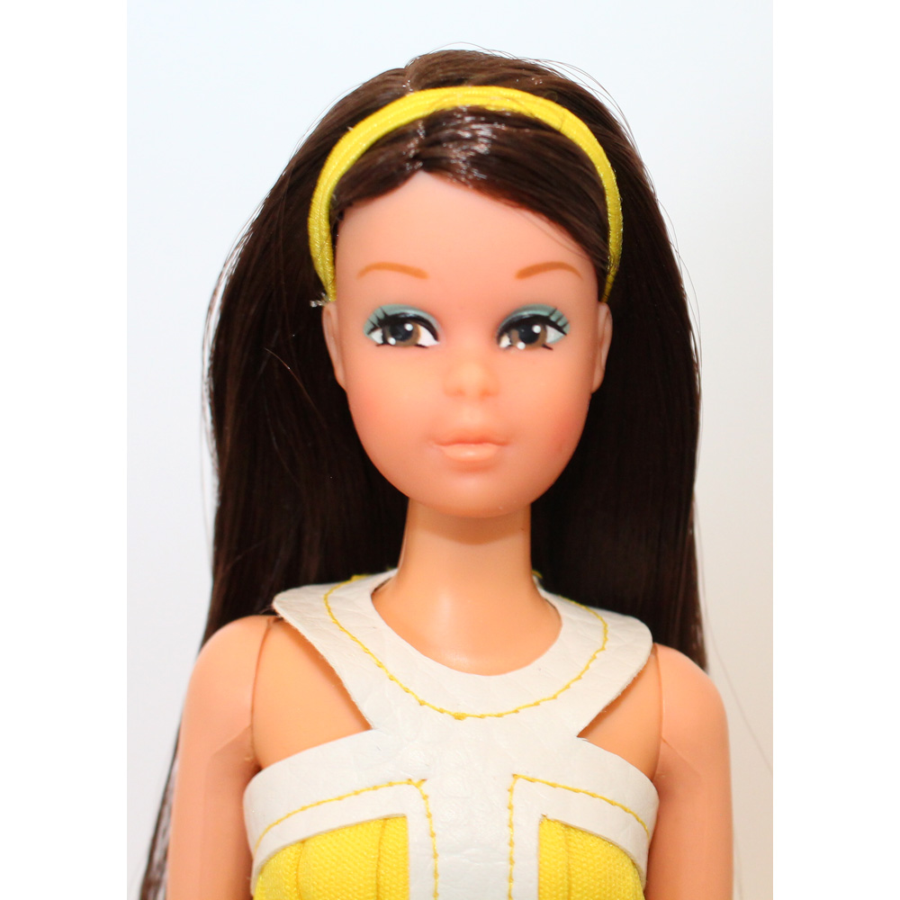 Francie Baggie Re-Rooted Brunette 5MJ – Barbie Marl B