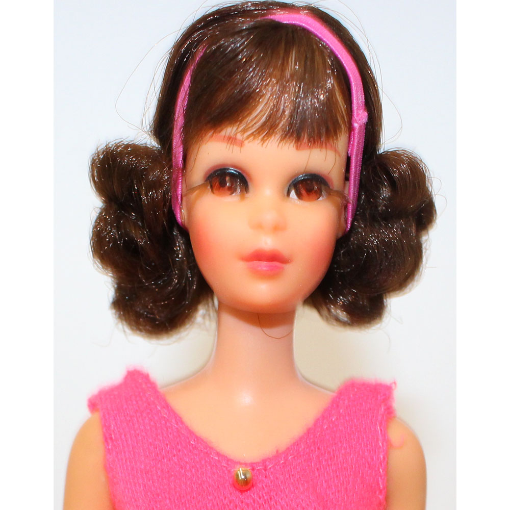 TNT Francie Brunette Flip DO26b – Barbie | Marl & B